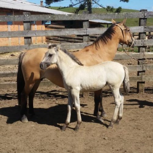 0301aa1bcc674c6c1dc13af3f97bb6bf