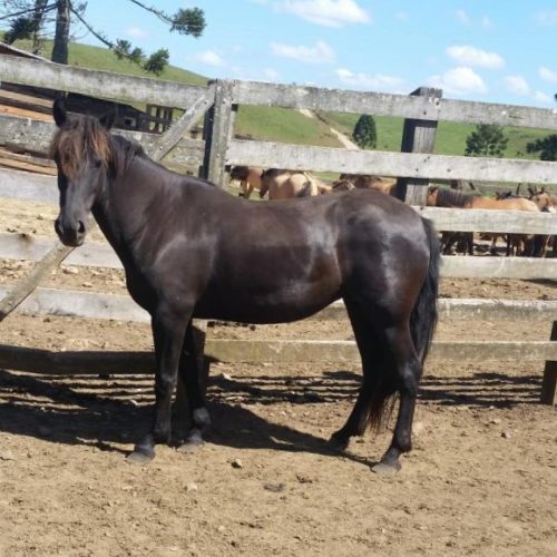 081921bd94f29b817dc3066e4e365e31