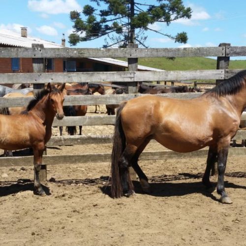 11ea790dbf302d992dc4ccd0b039ccec (1)