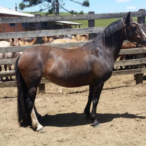 15c9f5b5f4d820105fb1c3bee94cde45