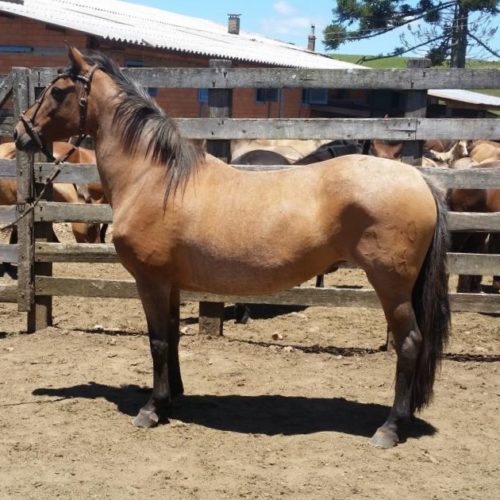 262efc8510082da049a1c96bb6b9a6cf