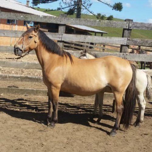 3f23050e9ac1b58a9aa09256f9c53fa6 (1)