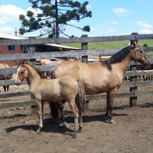 4017cd90f98bb23aa6ea124e38a75542