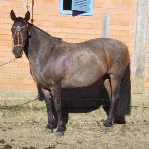 438445355a4e59bb115b9fafc1253ed2