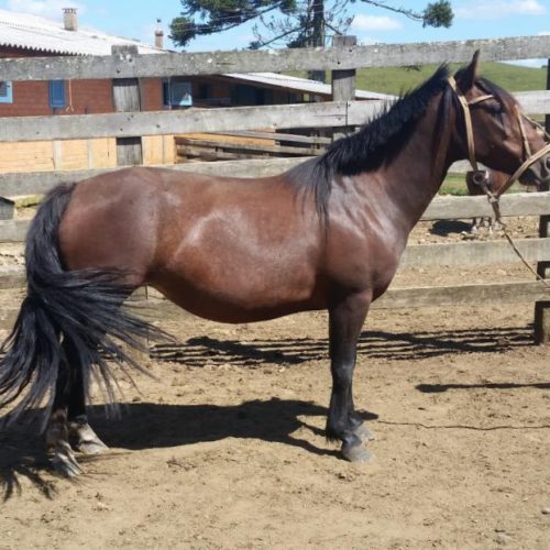 4bb7e3629ed29310655430894f00de56 (1)