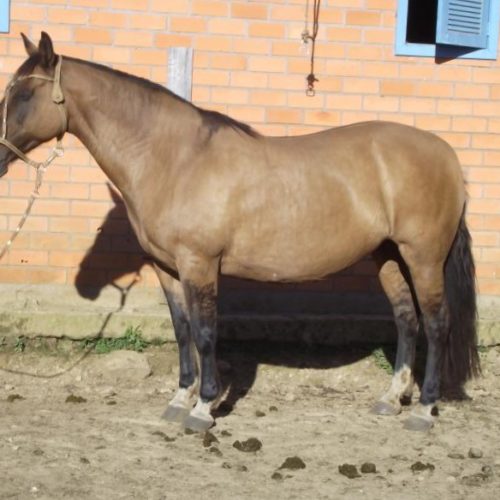 4c50af271d6dd47607057dd372f66479