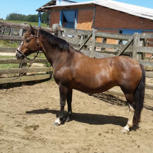 4fe78915d7e70be79c35cb143147d737