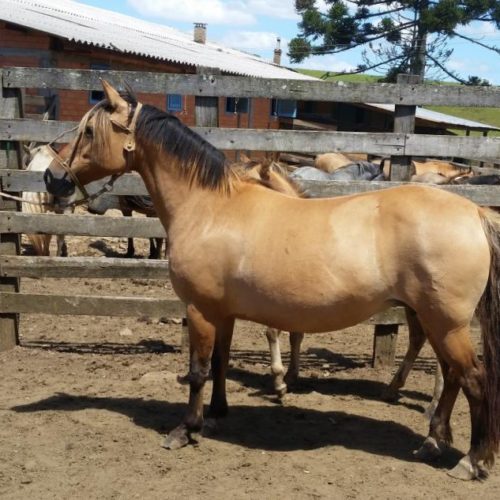 54eff6ebdc15209e92c8b3dc095eba87