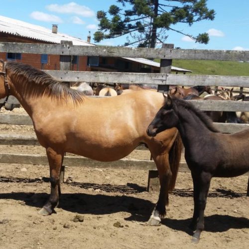 5985d04f73edd703fd1c519cfeb25d17