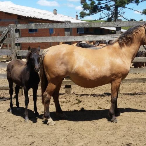 63bcb37f2dce4ab1e261411914ec2785 (1)