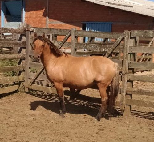 8061c5ee16b64befa1152a5a9aa9fae7