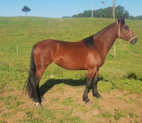 885431fc53619ca828b92684327afe3b