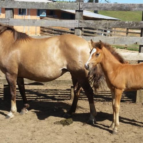 8e91bca63799d73e7d8d2573ac8fa083 (1)