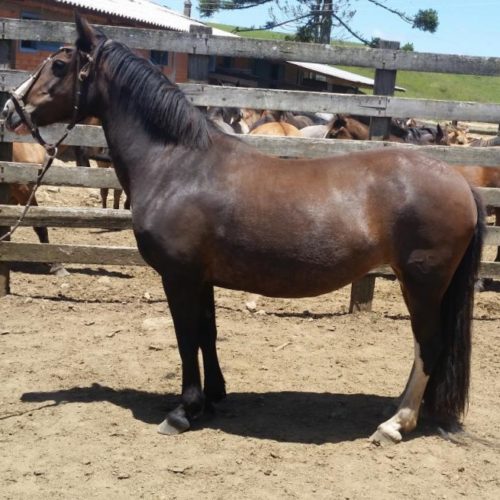 9c18fc54cf895f00df714744838bdec0 (1)