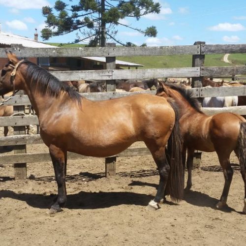 9e89785aee644eaabc291a9828cdc83a