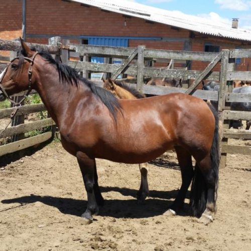 9efe220939f6c269ae21921a9b65dbdc (1)