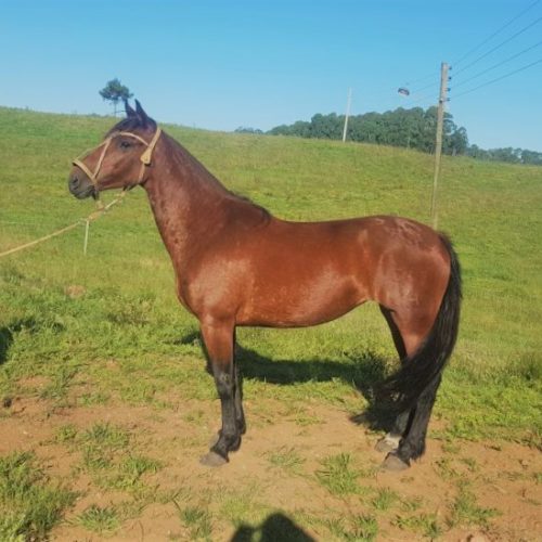 a5d987299c98a78aa78b7c14580bcb80