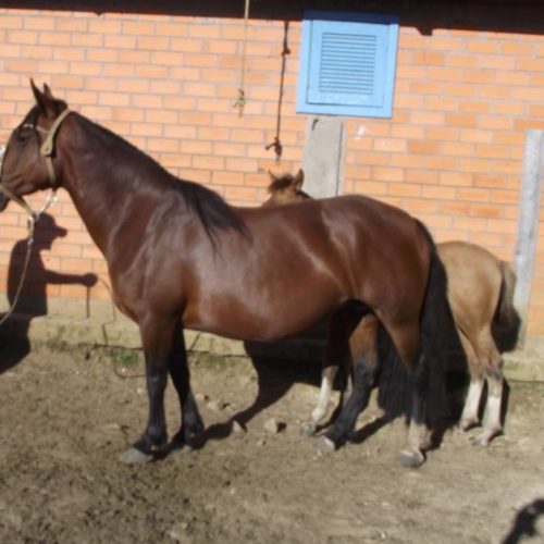 ad9e820e6ea7ffe349139b96a2266471