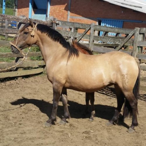 b71873d4967c80555099c5c984e9e28e