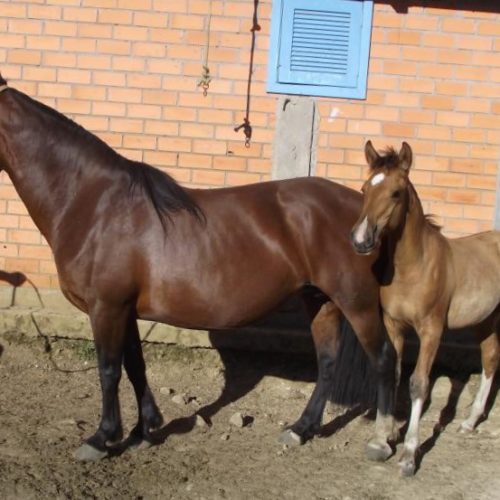 b7f09b9087000afa0e31f808749ae1b7