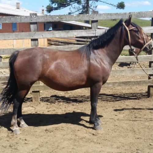 b8963ede0db9be61800bdf98dec42a2c