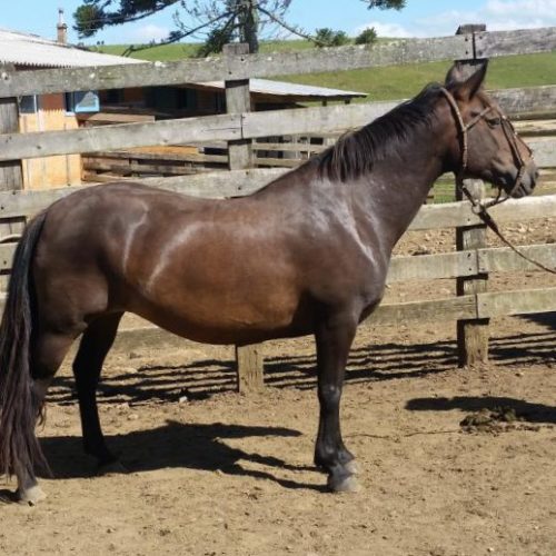 b8fab89b80420d20a60d1eaed750558b