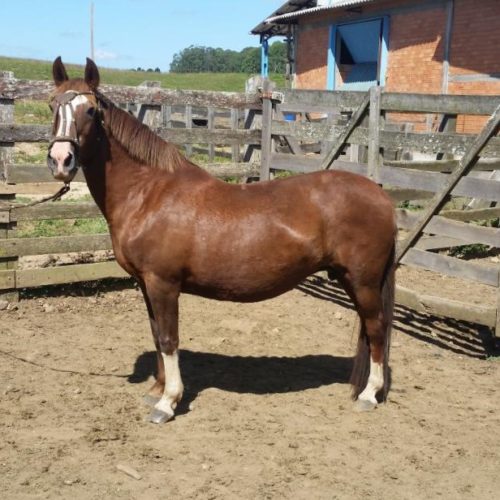 c13ae45ee967e8ee18fa98ade5d0e4fb (1)