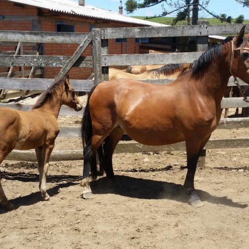 c9f1d8e315f8a919b8fc5520e33ec146