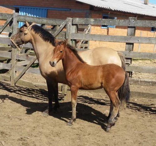 ce29018209bb4589e5e18265c047143b