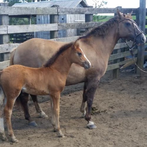 cf6304d8b3e3e96c3328e9d77a2da612 (1)