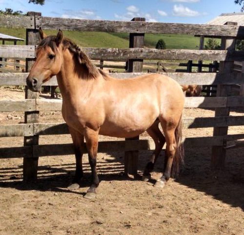 d135643dec264942761454b1ea2d69ae (1)