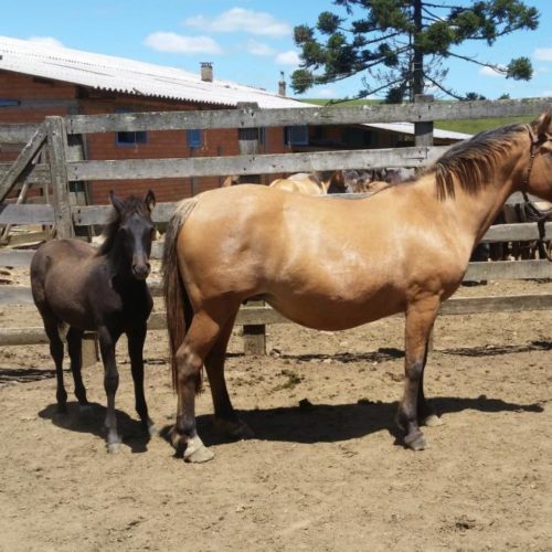 d3cd41b76db9590492a75b3b7de802e1