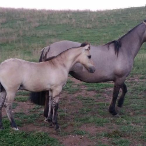 d6f8dd4d9a4a59bc3619b0591845c08f (1)