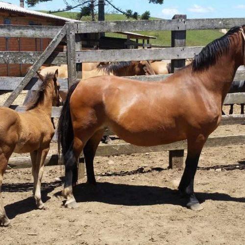 d8b286becbd921a69e57e874b21b2044