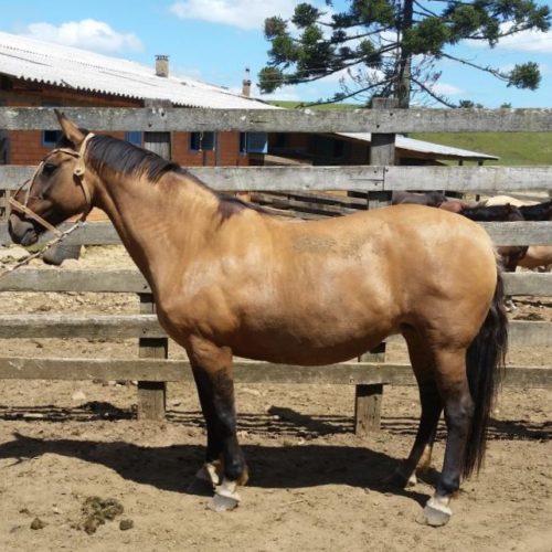 da1b5caf21457a41076a8c0e5c1349eb