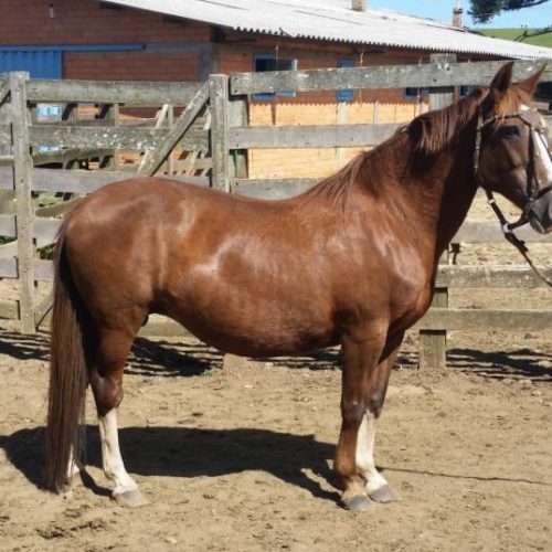 de46e75c971d7823adcc66e29cc99513