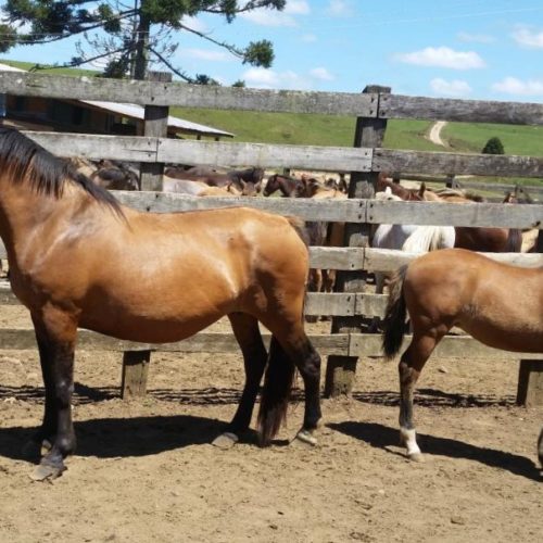 ee2d44cd3a4ca4bf60c91b7109a4663e