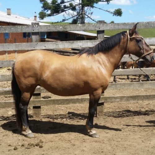 f09d0747e0c1301e5177ef1eb14cb5e3