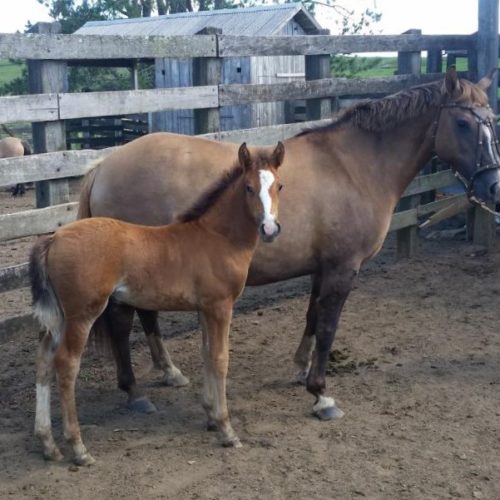 fd3761d2dd845f786c409f4350562437