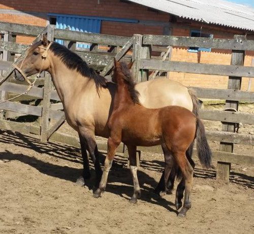 ff1dee98db1c5c2e952cd066cb7e0b66 (1)